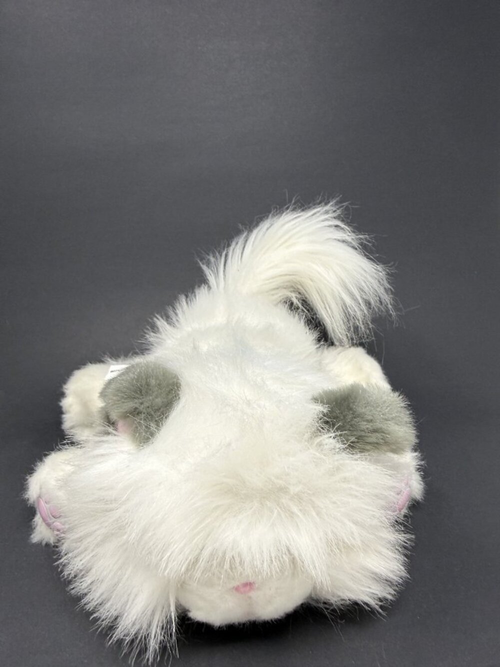 Little Live Pets Cuddles Dream White Kitten Persian Fluffy Cat Interactive